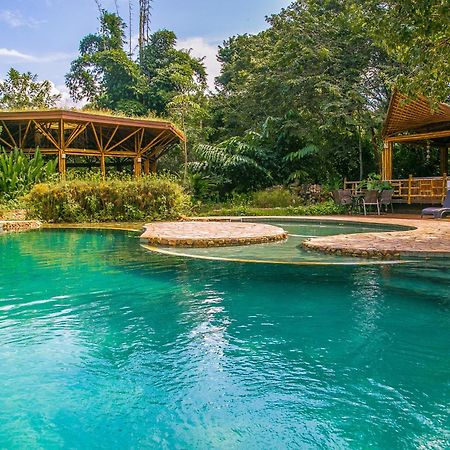 Banana Bamboo Ecolodge Ubatumirim エクステリア 写真