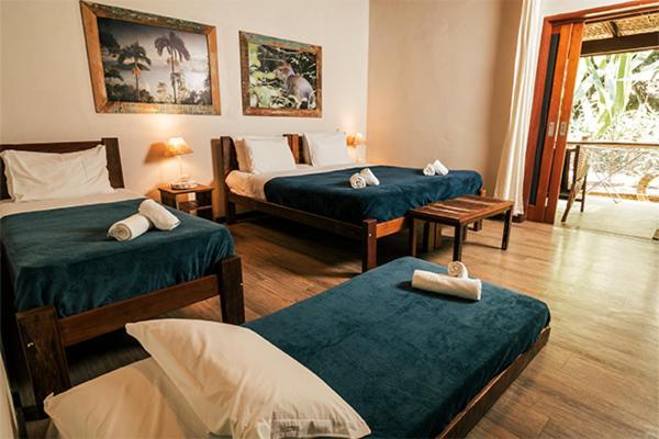 Banana Bamboo Ecolodge Ubatumirim エクステリア 写真